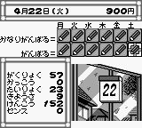 Pocket Love (Japan) In game screenshot